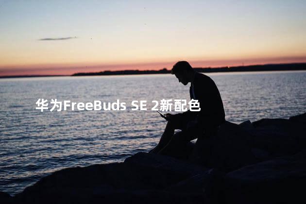 华为FreeBuds SE 2新配色正式开售